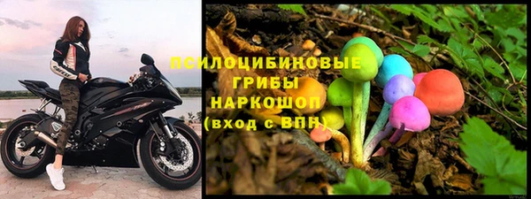 apvp Вязьма