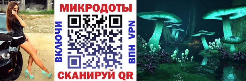 Купить где  Качканар  Псилоцибиновые грибы прущие грибы 